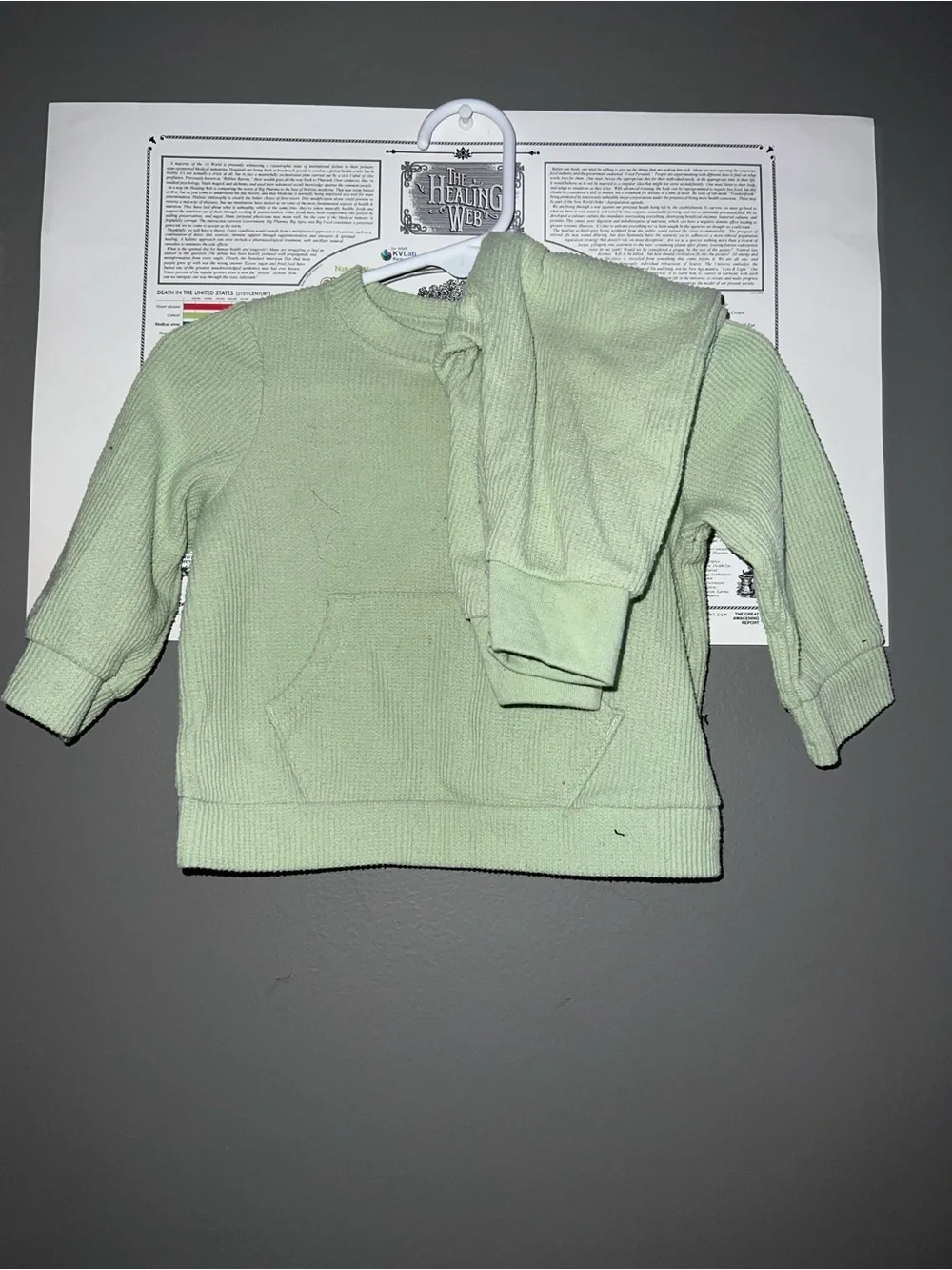 Cat & Jack Light Green Crewneck Kids' Pullover Sweatshirt
